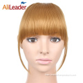 ʻO ka lauoho Synthetic Neat Bangs Extensions Clip on Fringes